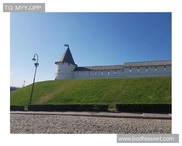 哈马尔的崛起与挑战：探讨其在国际关系中的重要性与未来发展方向